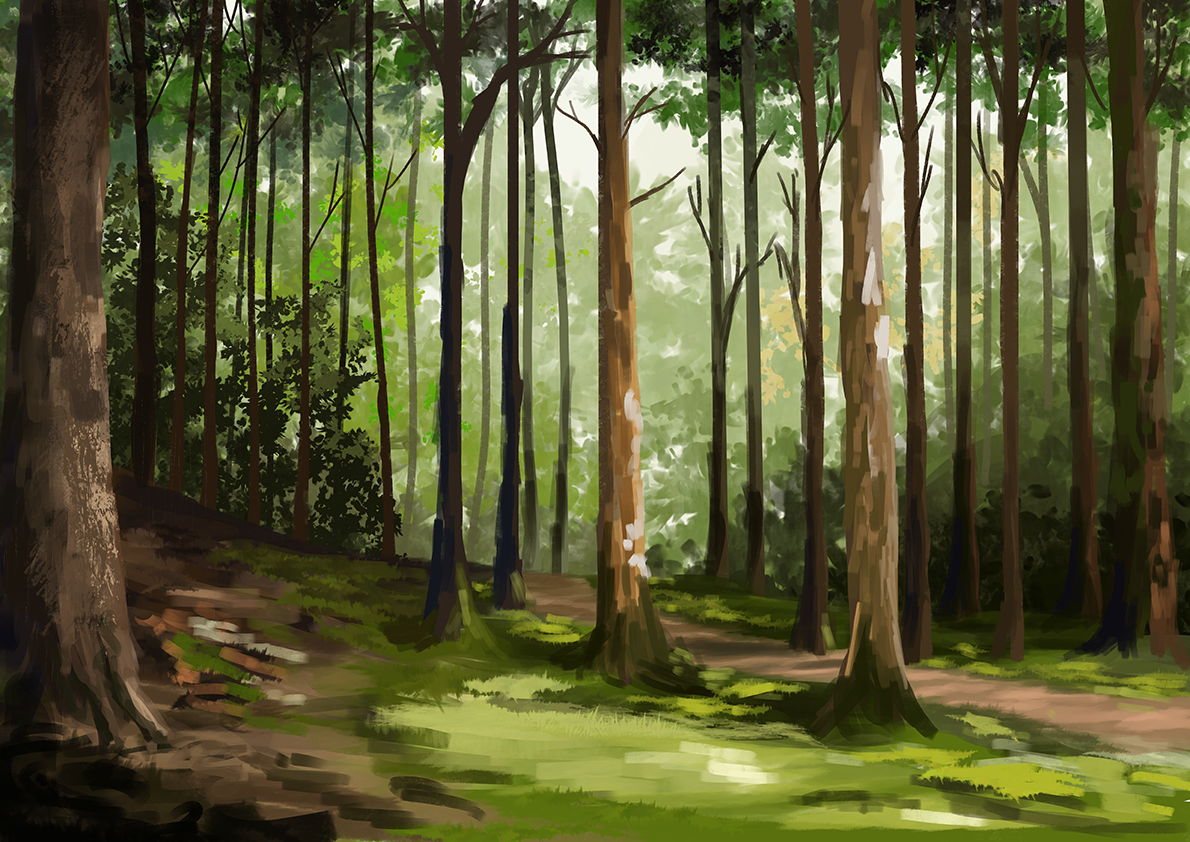 forest_study_verkleind